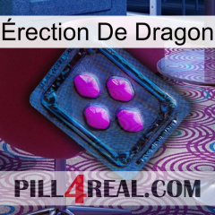 Érection De Dragon 04